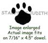 AA-16 Paw
